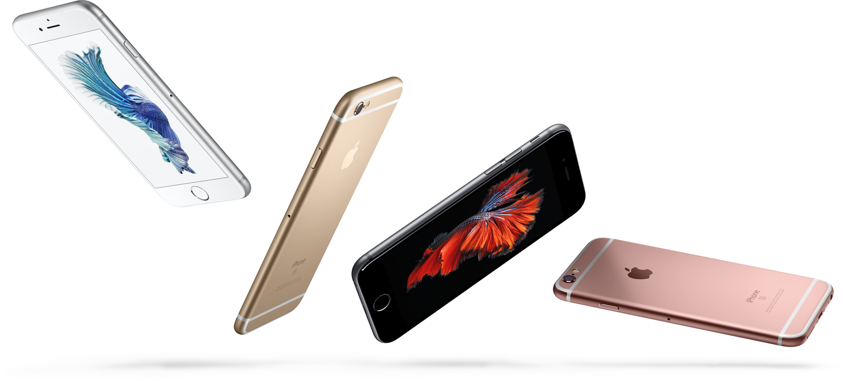 Техническое наполнение iPhone 6